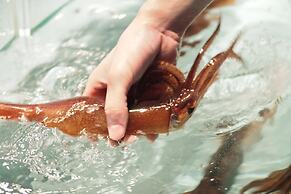 Bourou NOGUCHI Hakodate Ryokan