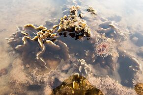 Andalay Beach Resort Koh Libong