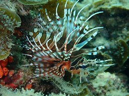 Great Keppel Island Hideaway