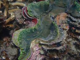 Great Keppel Island Hideaway