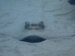 Great Keppel Island Hideaway