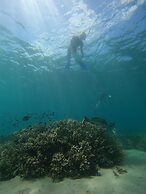 Great Keppel Island Hideaway