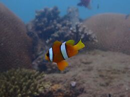 Great Keppel Island Hideaway