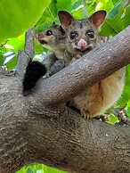 Great Keppel Island Hideaway