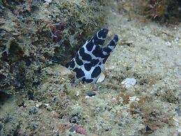 Great Keppel Island Hideaway