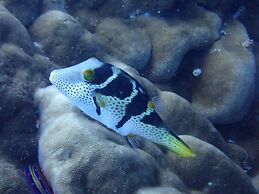 Great Keppel Island Hideaway