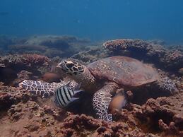 Great Keppel Island Hideaway
