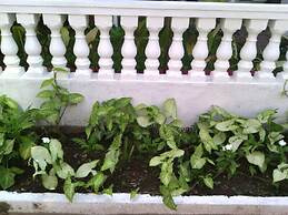 Nathan's Holiday Home