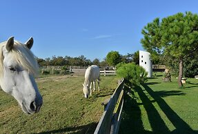 Hôtel Mas de la Grenouillère