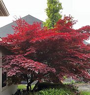 Cobblestone Bed and Breakfast