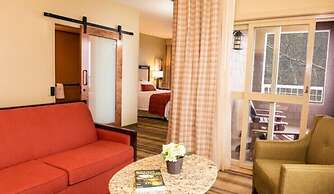 Amicalola Falls State Park & Lodge