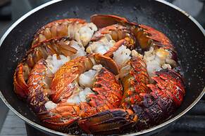 Minaret Station Alpine Lodge