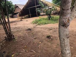 Curupira Amazon Lodge