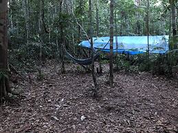 Curupira Amazon Lodge