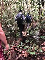 Curupira Amazon Lodge