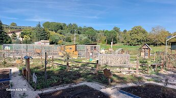 IL POGGIO DEGLI ANTICHI SAPORI