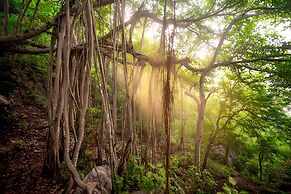 The Orchid Rishivan Rishikesh