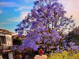 B&B Garden Grazia