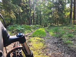 Frankenwald Chalets