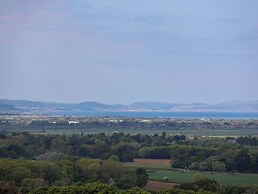 Buzzards View