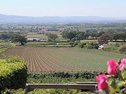 Buzzards View