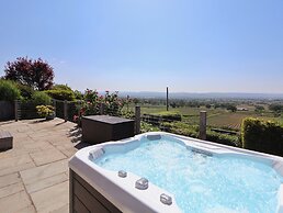 Buzzards View