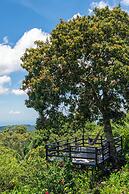 Monticello