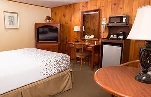 Knotty Pine
