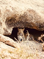 Rawla Bisalpur