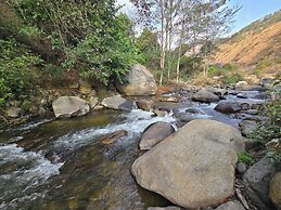 Punakha Stream Resort
