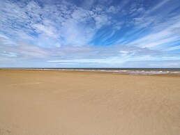 Sandy Toes