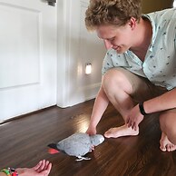 Royal Boutique Hotel