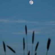 La vallée des Elements