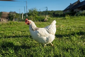 La vallée des Elements