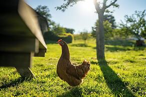 La vallée des Elements