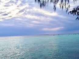Miska Zanzibar