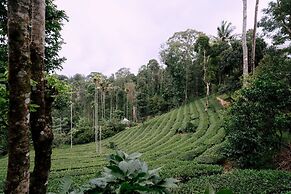 The Feel Munnar Resort