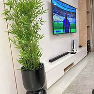 Quintessential Apartments By Signature