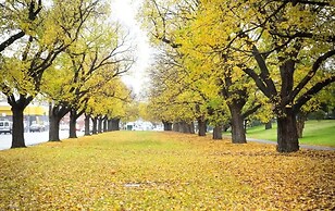 A Comfy & Cozy Apt in Clifton Hill, Free Parking