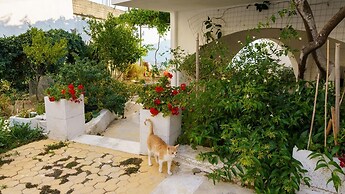 Emphasis Traditional House