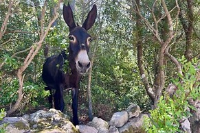 Casa di Macchjerolu - 8 Pers