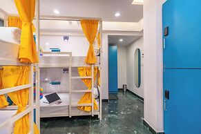goSTOPS Plus Uadipur Gulab Bagh