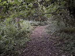 Delfryn, Llandeilo