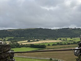 Delfryn, Llandeilo