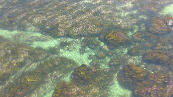 Peniche Nature and Beach Flat