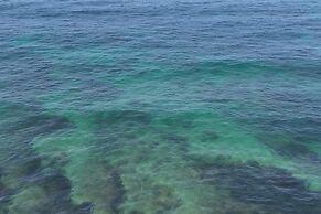 Peniche Nature and Beach Flat