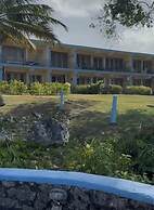 Carib Waves