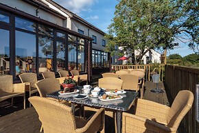 Puffin