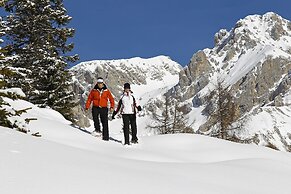 Chalet Aster