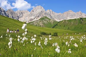 Chalet Aster
